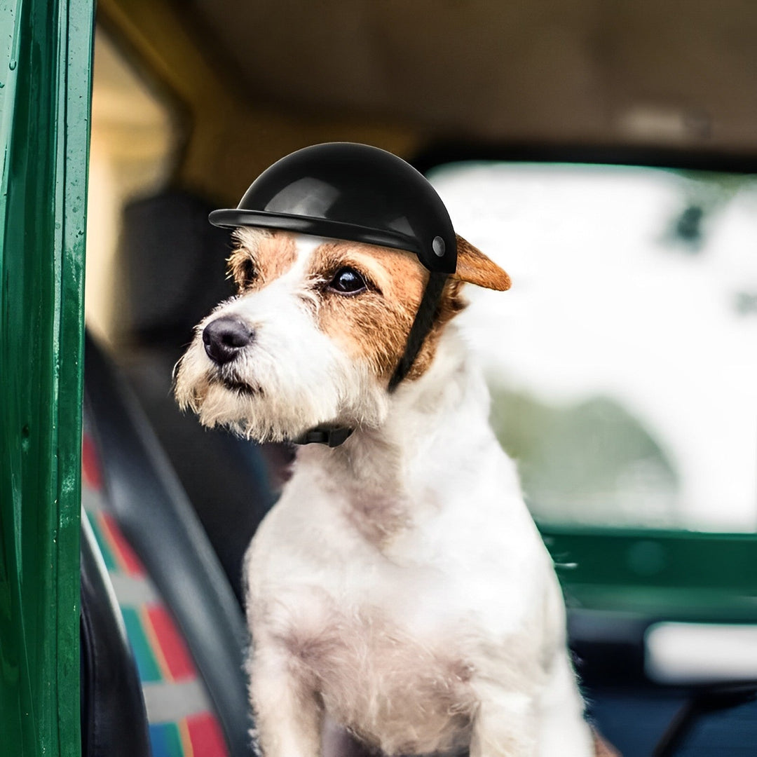 Kask i Gogle Motocyklowe dla Psów