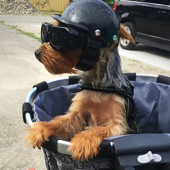 Kask i Gogle Motocyklowe dla Psów