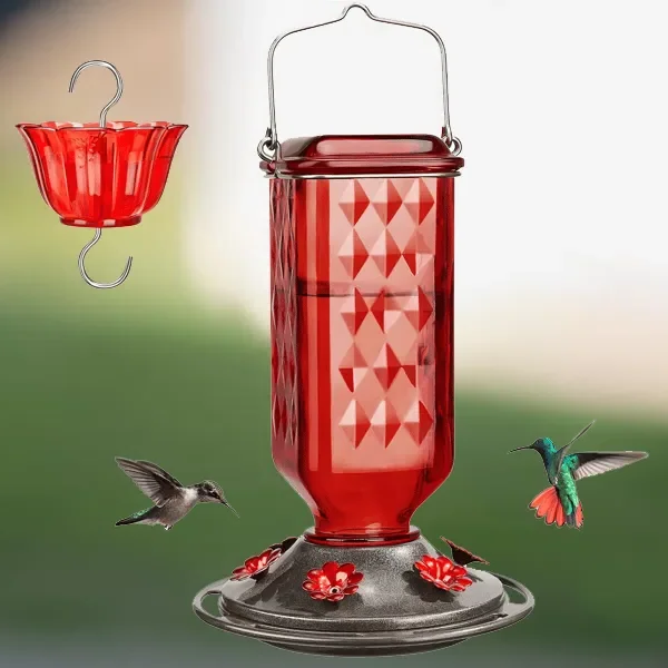 24oz Szklany Karmnik dla Kolibrów Bez Wycieku
