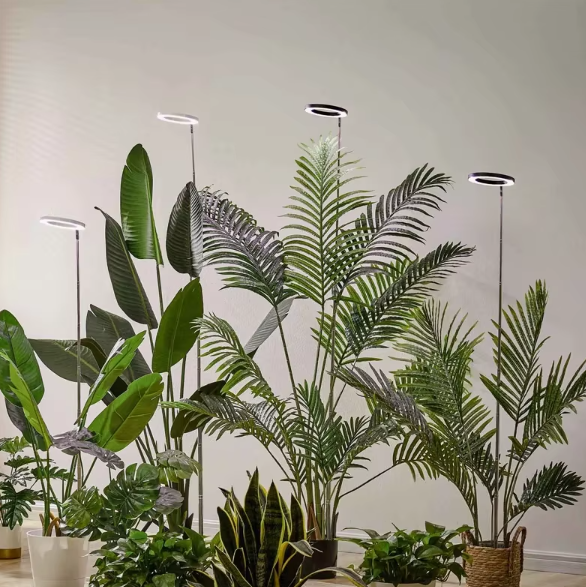Lampa do wzrostu dla roślin doniczkowych