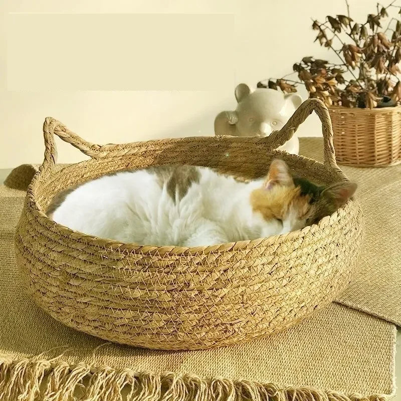 Ręcznie Wykonana Woven Cat Bed z Sezonową Poduszką