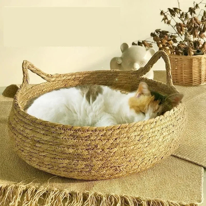Ręcznie Wykonana Woven Cat Bed z Sezonową Poduszką
