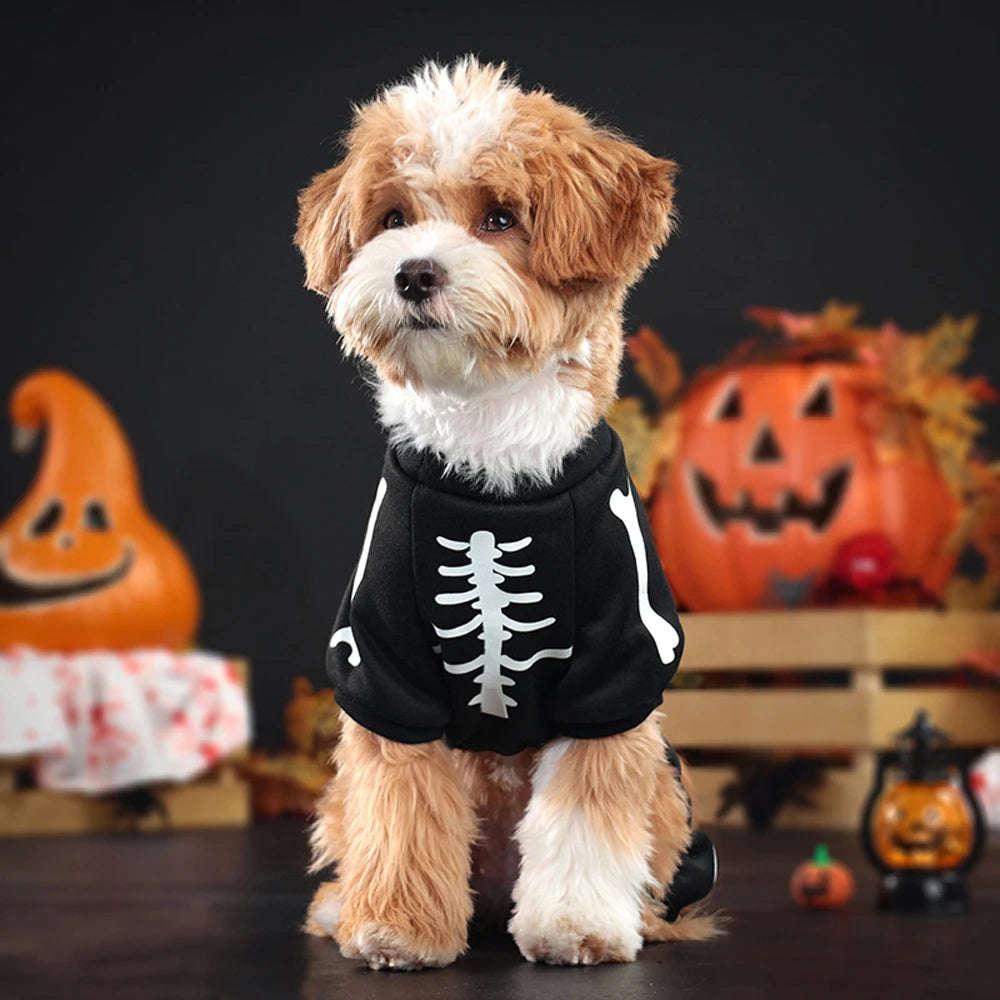 Kostium Halloween dla Psa w Kształcie Szkieletu