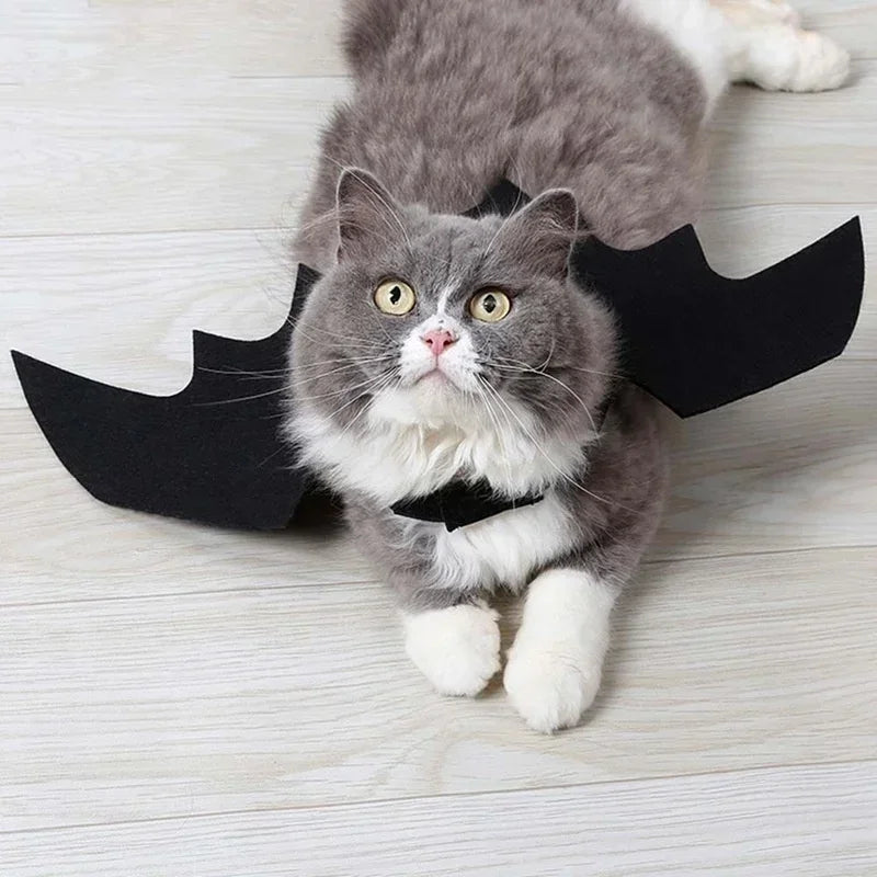 Kostium Halloween dla Zwierząt w Kształcie Skrzydeł Nietoperza
