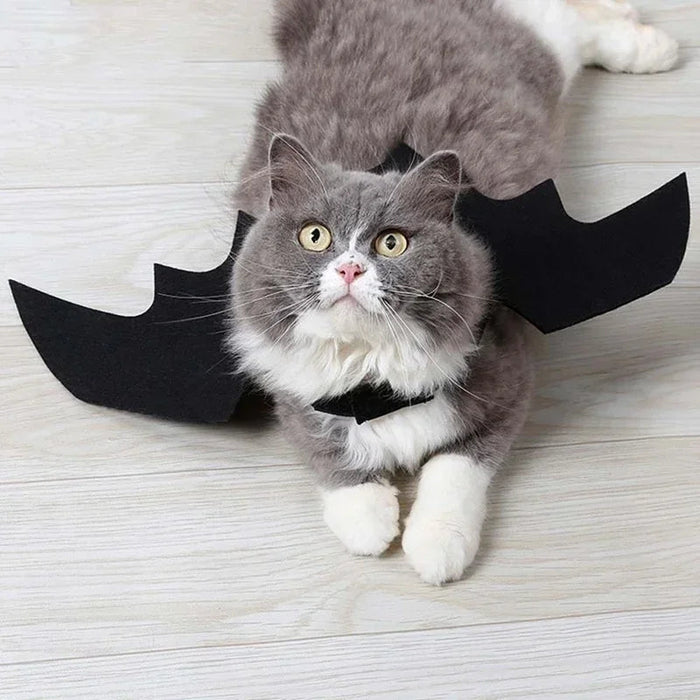 Kostium Halloween dla Zwierząt w Kształcie Skrzydeł Nietoperza