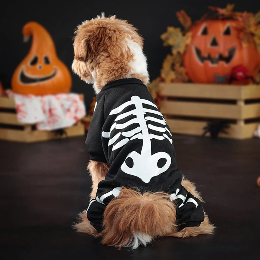Kostium Halloween dla Psa w Kształcie Szkieletu