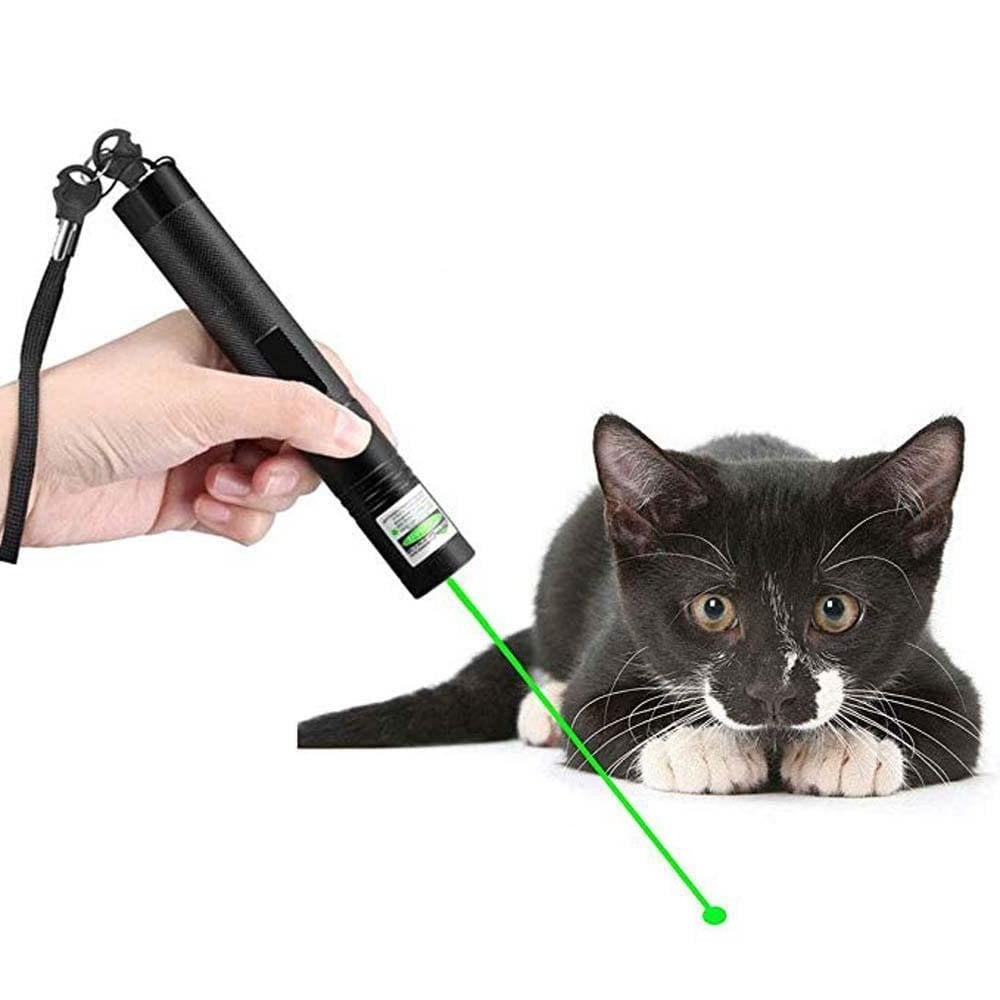 Wysokowydajny Wskaźnik Laserowy