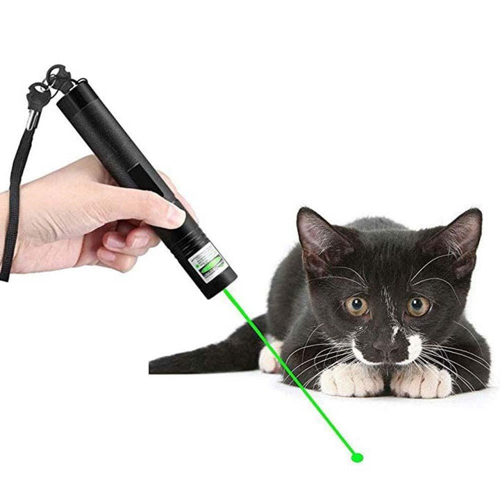 Wysokowydajny Wskaźnik Laserowy