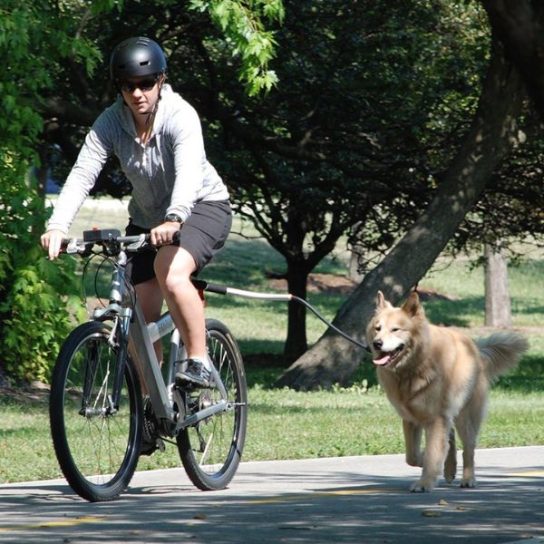 Szelki rowerowe dla psa