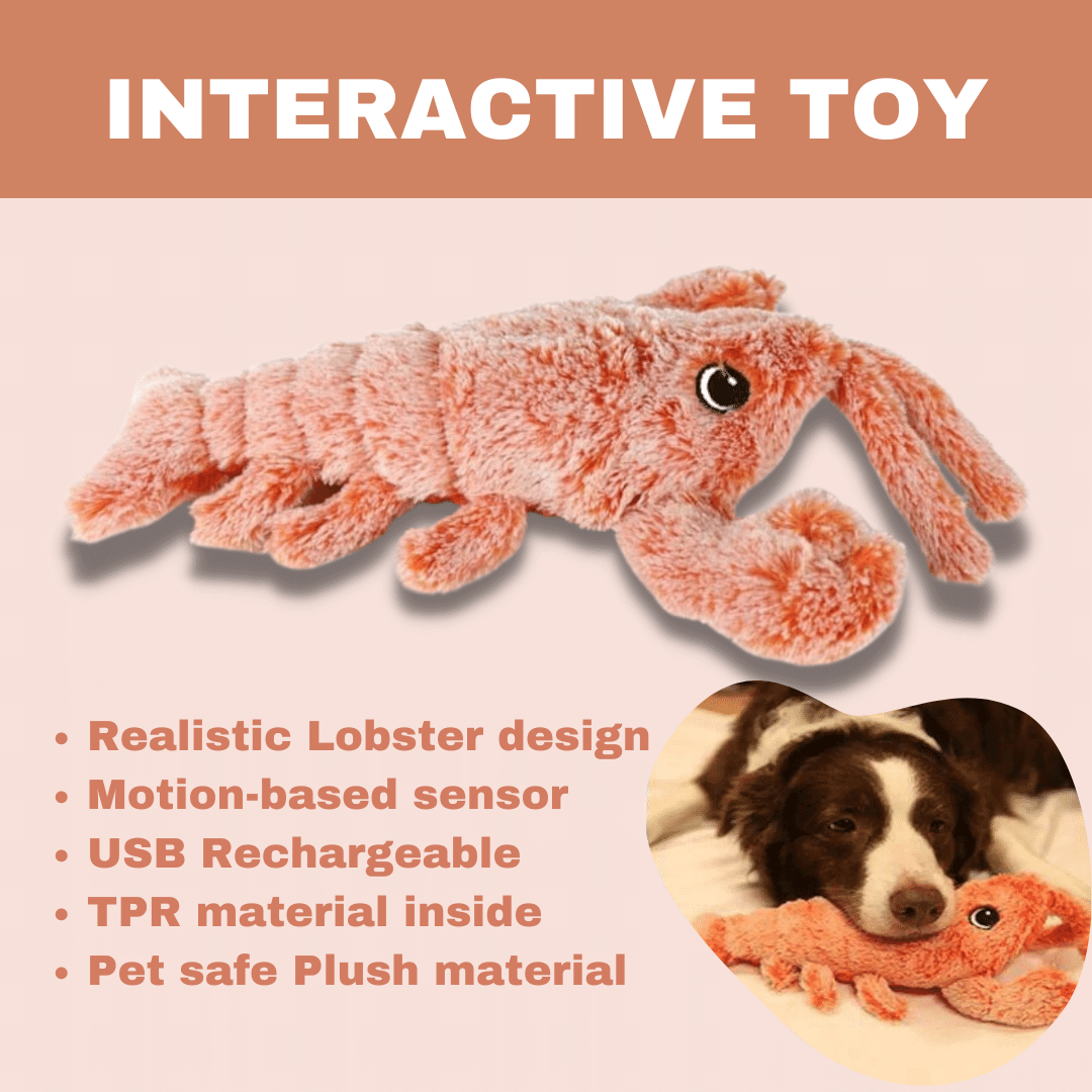 Interaktywny Zabawka dla Psa Floppy Lobster