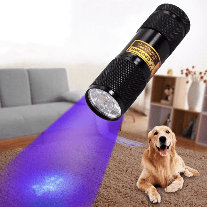 Mocna kieszonkowa lampa UV LED 21