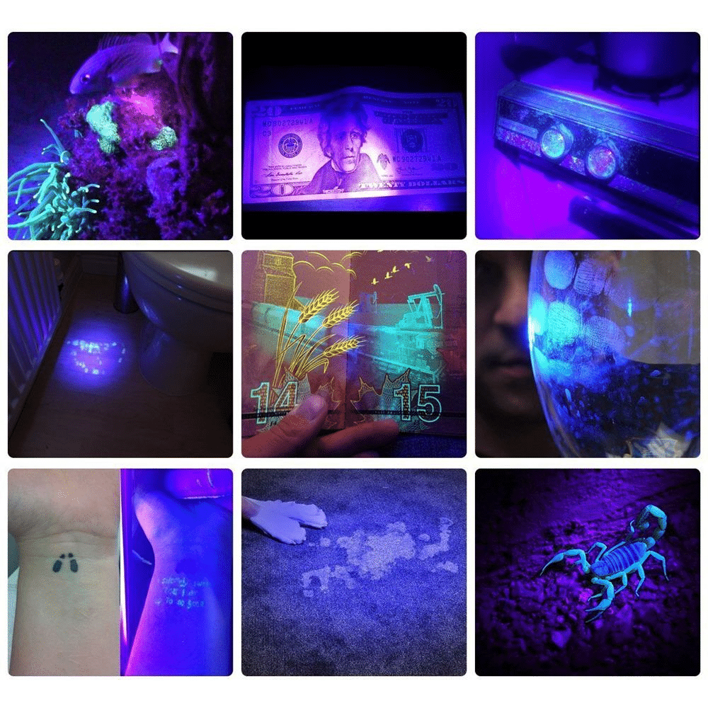 Mocna kieszonkowa lampa UV LED 21