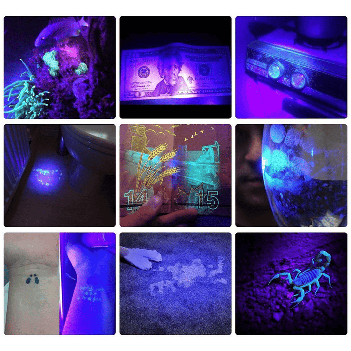 Mocna kieszonkowa lampa UV LED 21