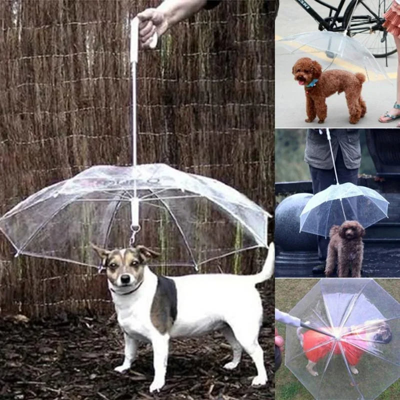Parasol dla psa z smyczą