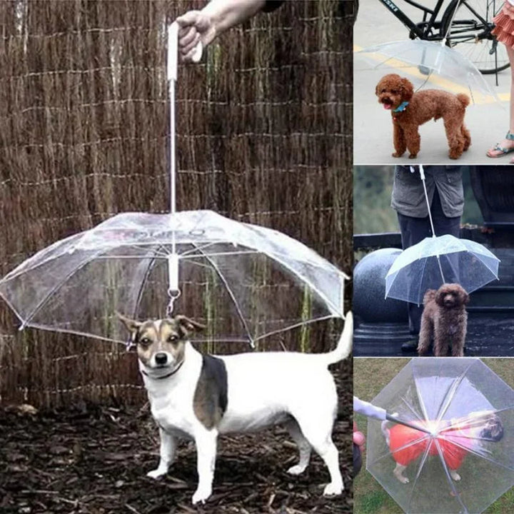 Parasol dla psa z smyczą