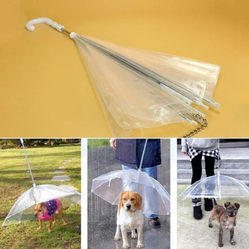 Parasol dla psa z smyczą
