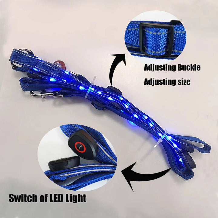 LED Szelki dla Koni