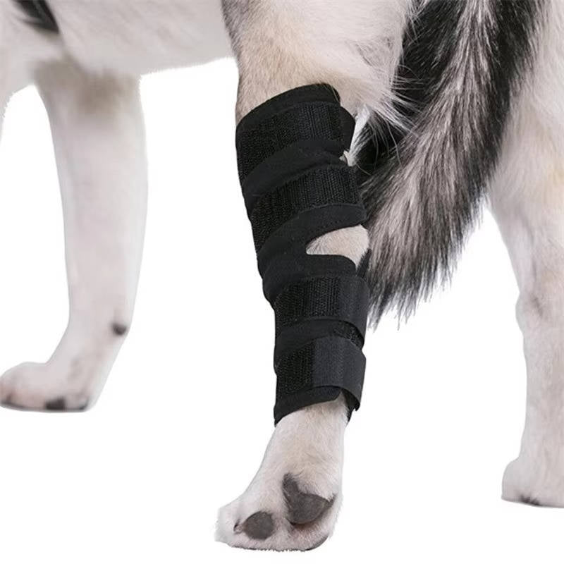 Ortopedyczne Stabilizatory Dla Psów