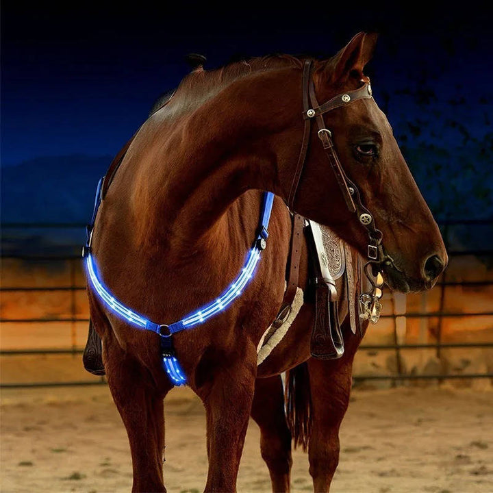 LED Szelki dla Koni