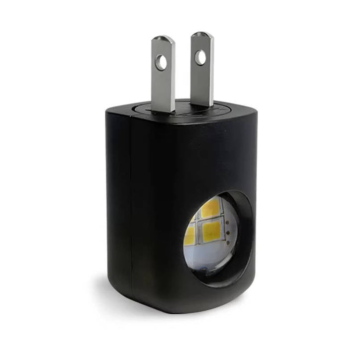 Lampa Gniazdowa