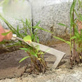Wielofunkcyjne Narzędzie do Wyciągania chwastów do Fuga Ceglanej