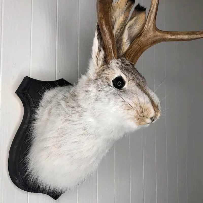 Dekoracja Ścienna Jackalope