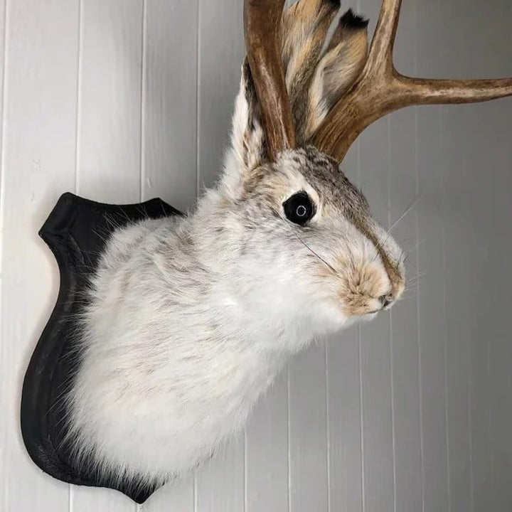 Dekoracja Ścienna Jackalope