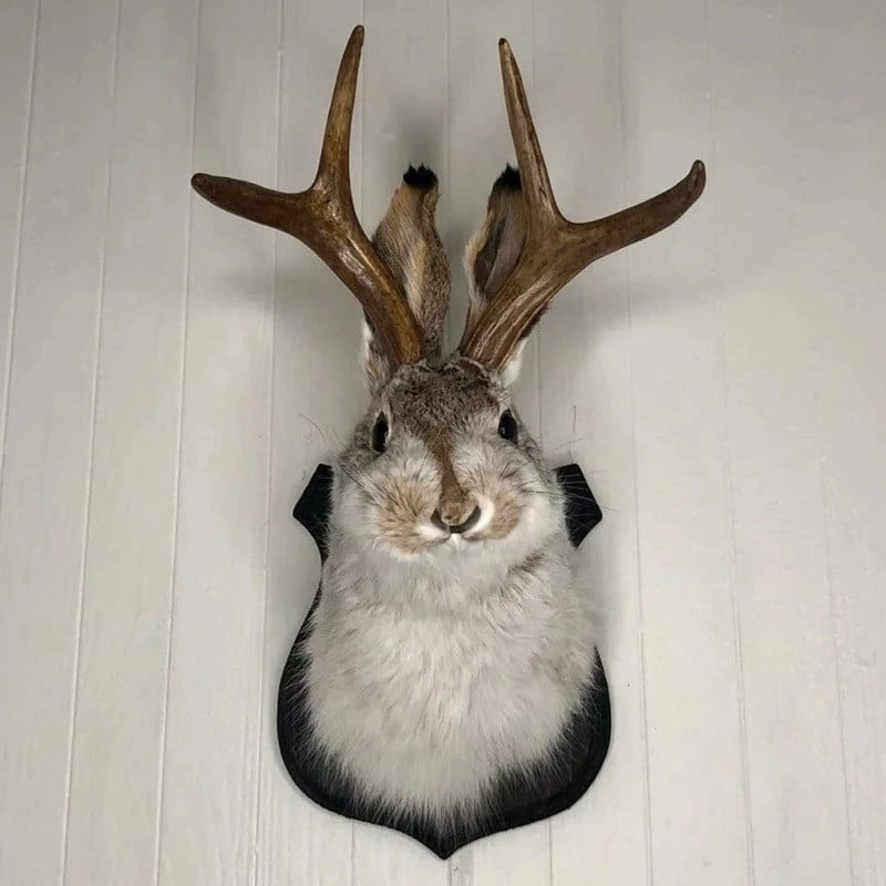 Dekoracja Ścienna Jackalope