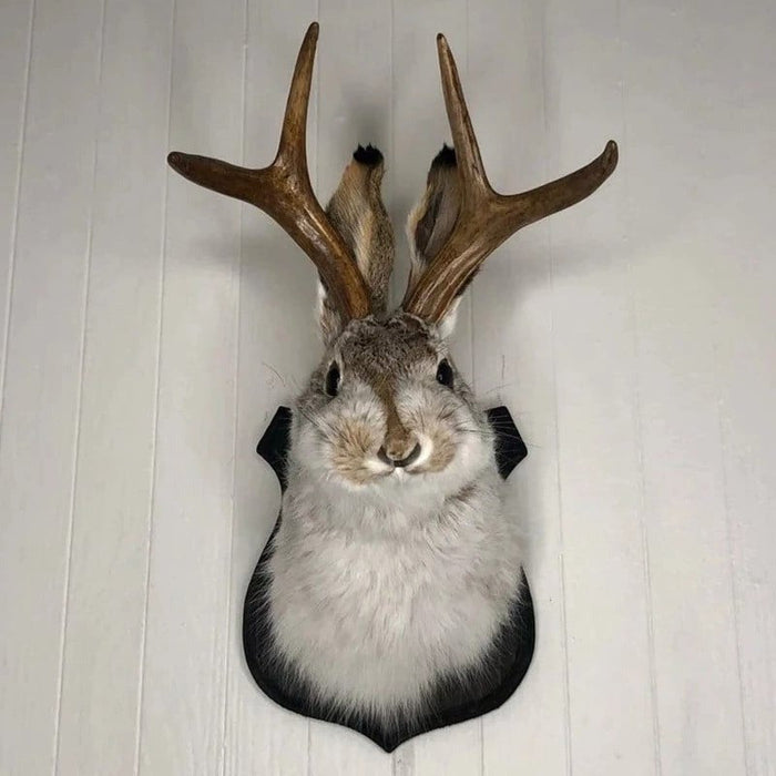 Dekoracja Ścienna Jackalope