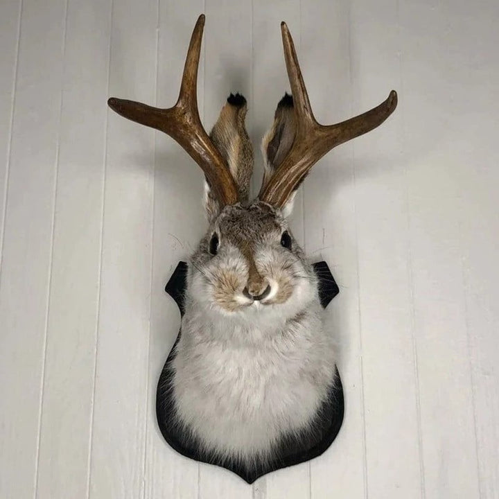 Dekoracja Ścienna Jackalope