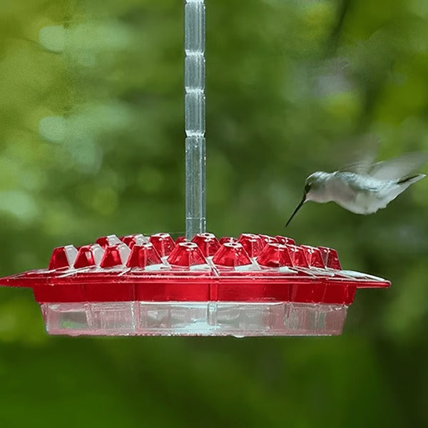 Karmnik dla kolibrów z wbudowanym zbiornikiem na mrówki
