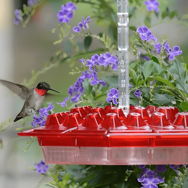 Karmnik dla kolibrów z wbudowanym zbiornikiem na mrówki