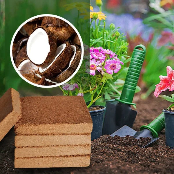 Organiczny Włókno Kokosowe dla Roślin