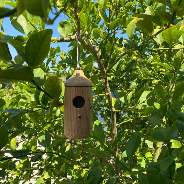 Drewniany Domek dla Kolibrów - Prezent dla Miłośników Natury