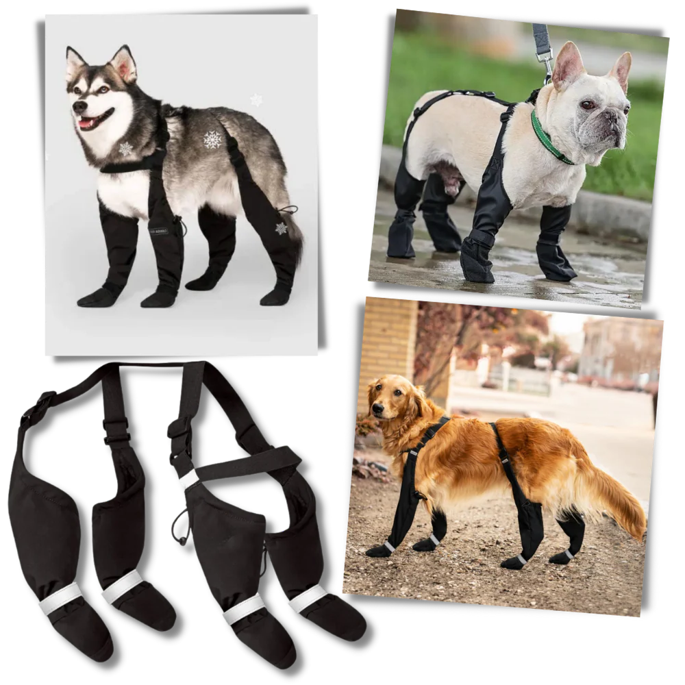 Wodoodporne Buty dla Psów z Szelkami