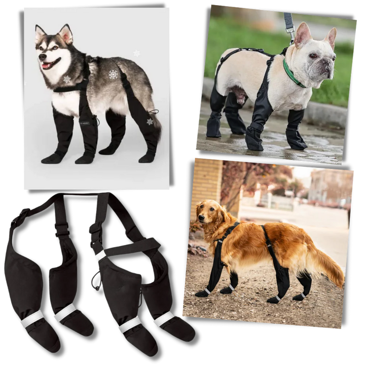 Wodoodporne Buty dla Psów z Szelkami