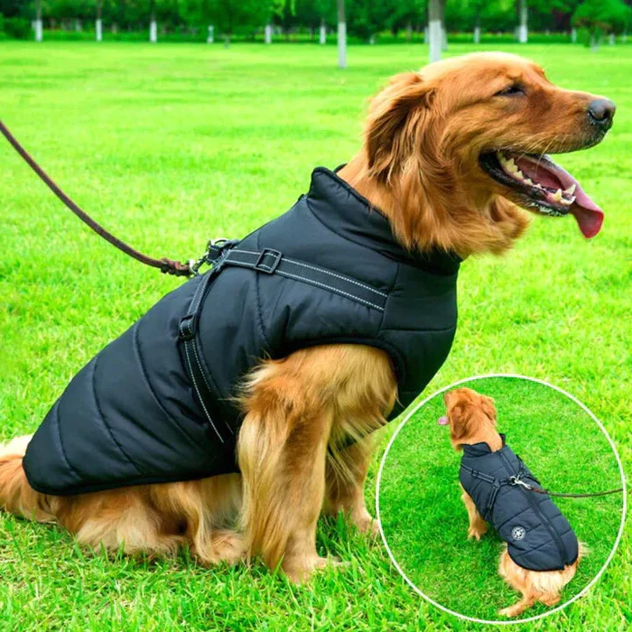 Wodoodporna Zimowa Kurtka dla Psów - Podszewka z Sherpa-Fleece - Wbudowany Szelki